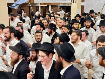הגלריה השבועית מ770: פרשת תבוא 