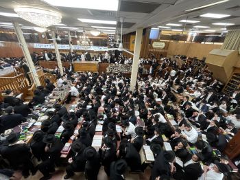 770: התמימים לומדים גאולה ומשיח