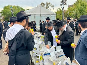 אלחנן סגל תיעד: קראון הייטס מתכוננת לחג הסוכות
