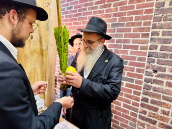 אלפים מברכים מידי יום על לולבו של המשיח
