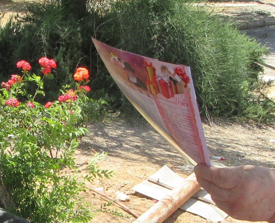 קבלת המלכות במולדובה בי"א ניסן