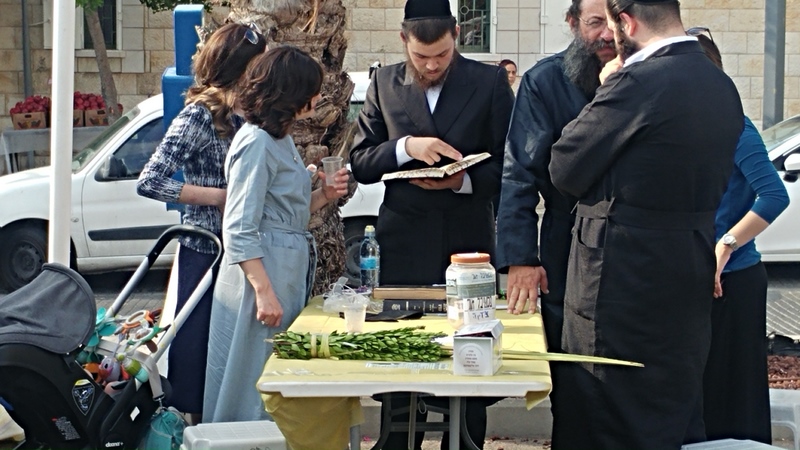 פסטיבל אור בפסטיבל עכו בסוכות