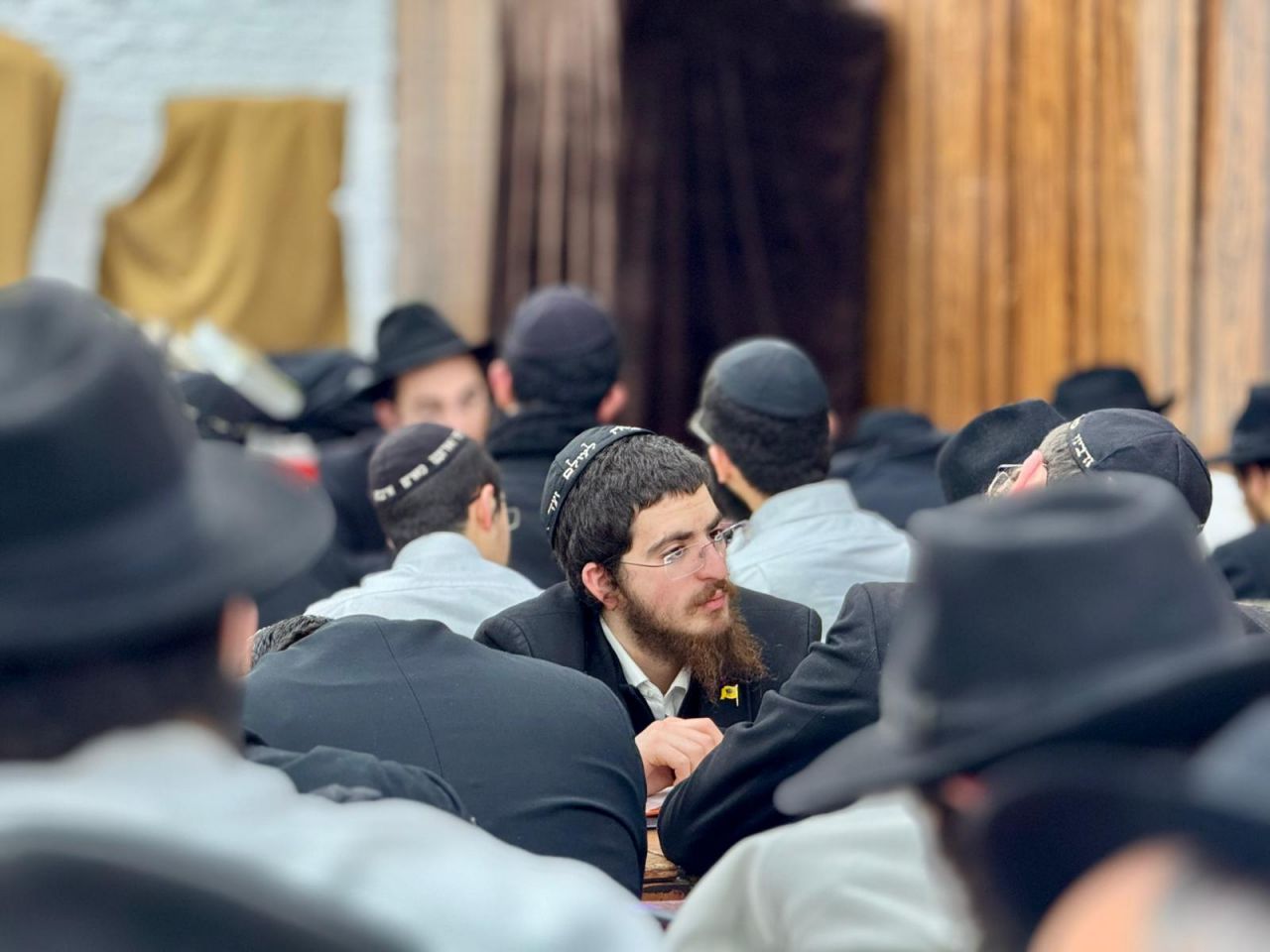 הגלריה השבועית מבית משיח: פרשת ויגש