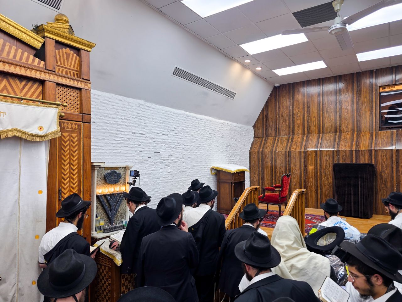 הגלריה השבועית מבית משיח לשבוע פרשת נח