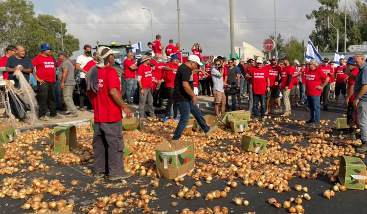 רגע לפני העברת התקציב: מסתמן פתרון למשבר רפורמת החקלאות