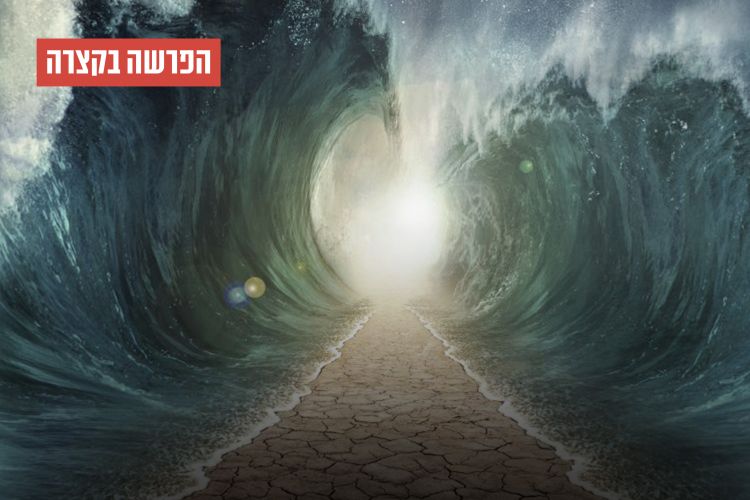 הפרשה בקצרה: נס קריעת ים סוף