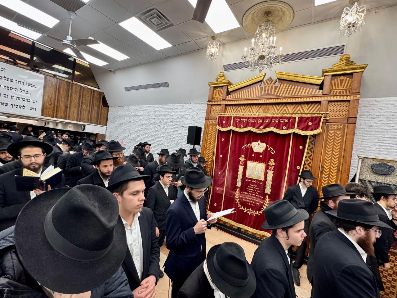 הגלריה השבועית מבית משיח: פרשת ויחי