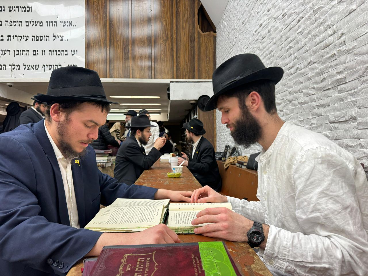 הגלריה השבועית מבית משיח: פרשת וארא