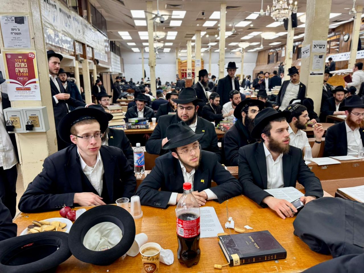 הגלריה השבועית מבית משיח: פרשת ויקרא