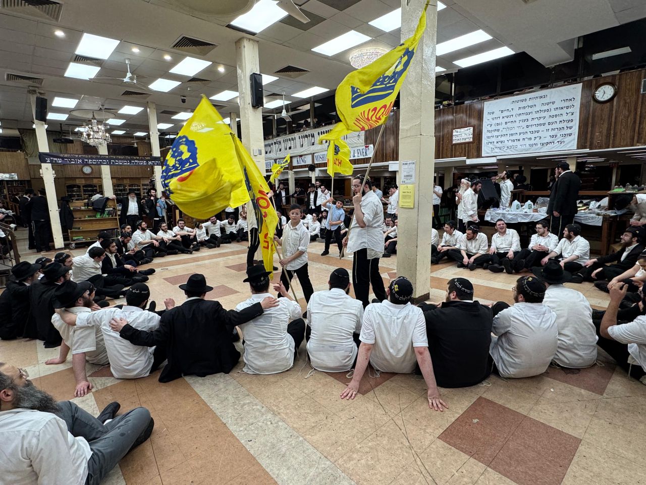 הגלריה השבועית מבית משיח: פרשת ויקרא