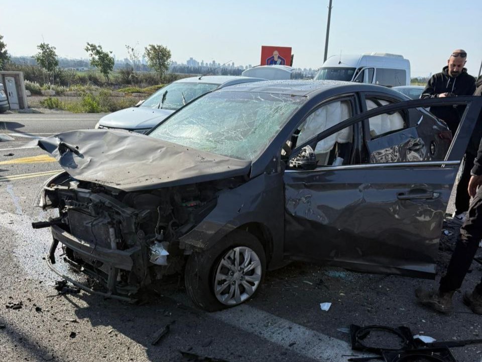 ניסי שאגת הארי