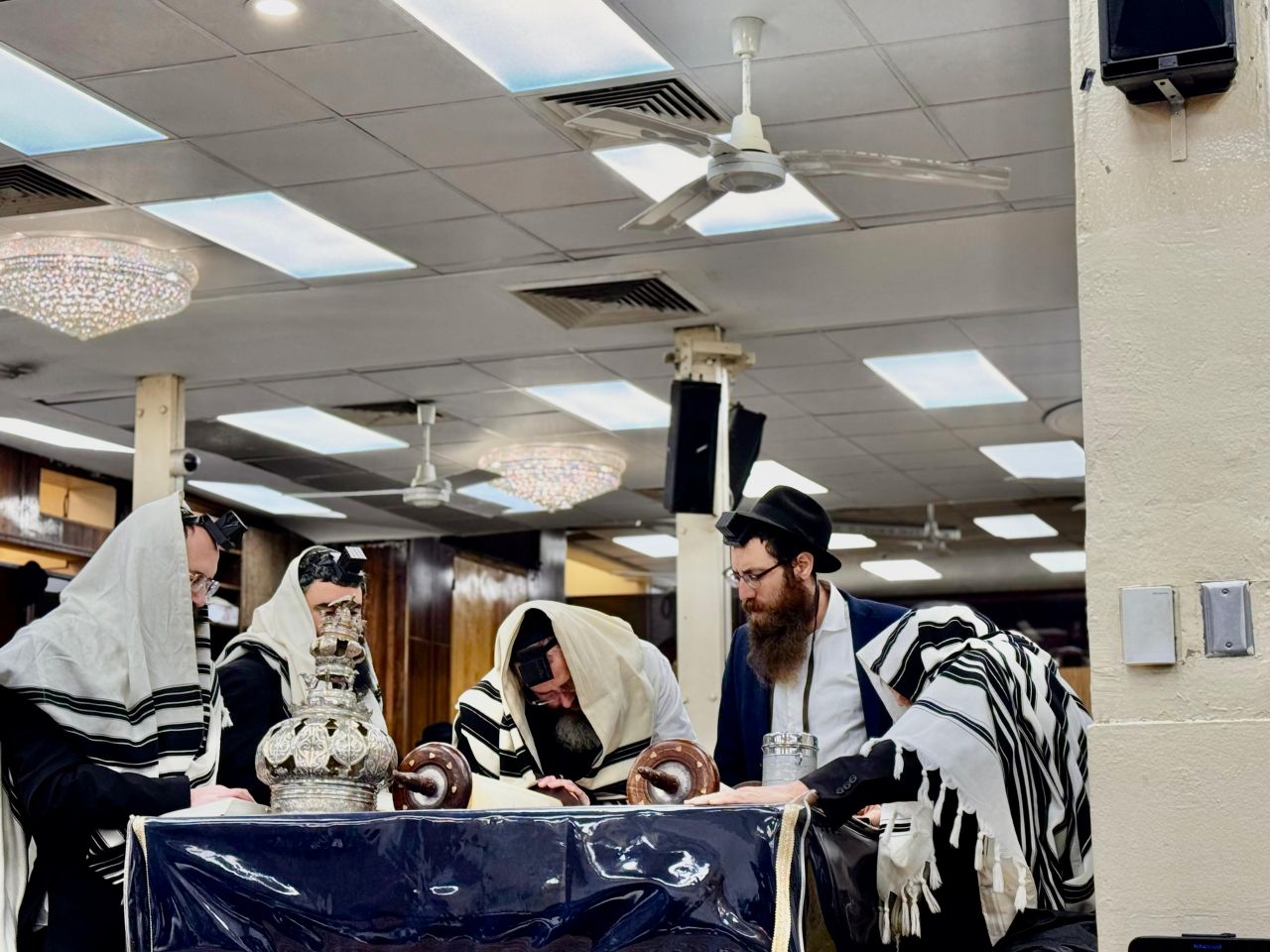 הגלריה השבועית מ770: פרשת במדבר