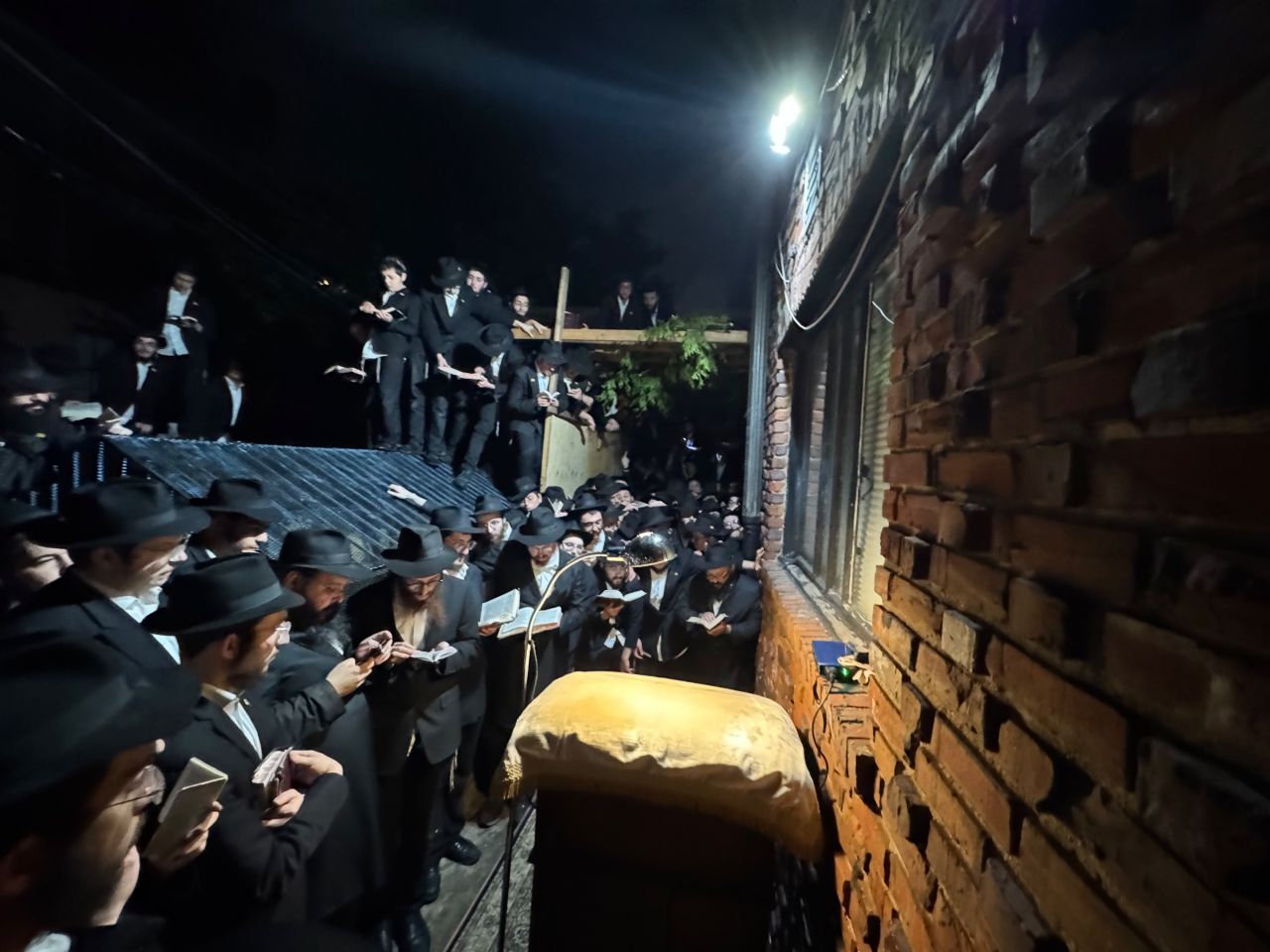 וביקשו את ה' אלוקיהם ואת דוד מלכם, אמן