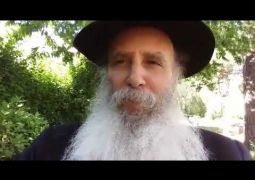 נפלאות באגרות : הרב ש. שמידע 