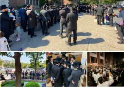 הגלריה השבועית פ' נצבים וילך תש"פ