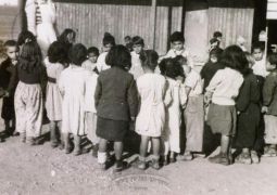 גניבת ילדי התימנים שוב בכותרות