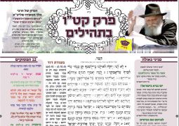 י"ל הפלקט המפואר של פרק קט"ו