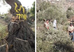 את זה המשטרה והשב"כ לא יחקרו