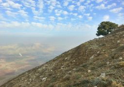 בועז העצני: תם האליבי של ביבי