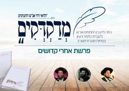 מדקדקים - אחרי קדושים 26