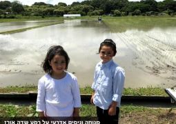 חדשות ונופים מיפן - בית חב"ד טוקיו