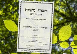 דברי משיח וירא תשמ"ט