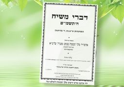 דברי משיח פ' נח תשמ"ט