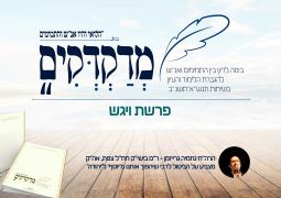 מדקדקים מס 49 על דבר מלכות ויגש