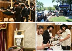 הגלריה השבועית מ770 לפ' שופטים