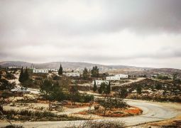 עמונה עופרה וירושלים