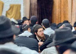 הגלריה השבועית מבית משיח: פרשת ויגש