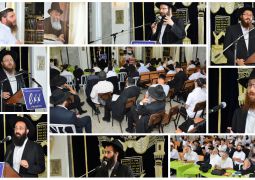 ירחי כלה של 'הדרך הישרה' . גלריה ראשונה