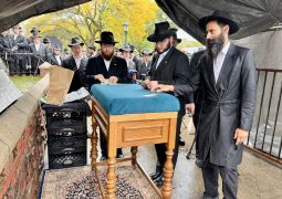 הגלריה השבועית מבית משיח לשבוע פרשת נח