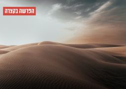 הפרשה בקצרה: מנין עם ישראל וחנייתם במדבר