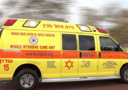 ערבי דקר יהודי בגבעת שמואל, מצבו בינוני
