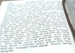 מחפשים חברותא ללמוד חסידות?