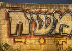 אבן מקיר תזעק
