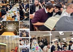 הגלריה השבועית - שבוע פרשת וישלח ב-770