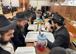 הגלריה השבועית מ-770: שבוע פרשת וישב