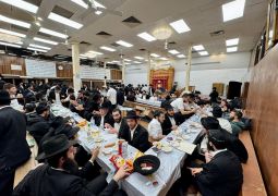 הגלריה השבועית מבית משיח: פרשת משפטים