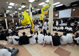 הגלריה השבועית מבית משיח: פרשת ויקרא