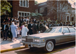 עלי הגהה, תמונות, וידיואים מענות בפרסום ראשון | תשורה להורדה