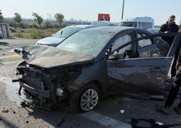 ניסי שאגת הארי