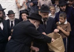 המשב"ק הרב מאיר הארלינג • מראות מחייו