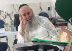 המבט שהרגיע הכל