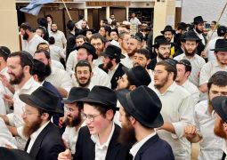 הגלריה השבועית מ770: פרשת תבוא 