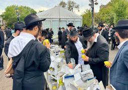 אלחנן סגל תיעד: קראון הייטס מתכוננת לחג הסוכות