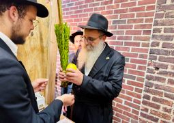 אלפים מברכים מידי יום על לולבו של המשיח
