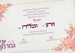 יוני גמרמן - "רגע של חתן וכלה"